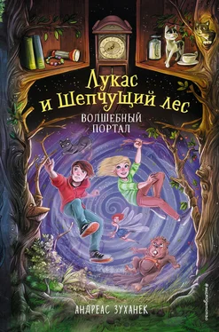 Андреас Зуханек Волшебный портал обложка книги