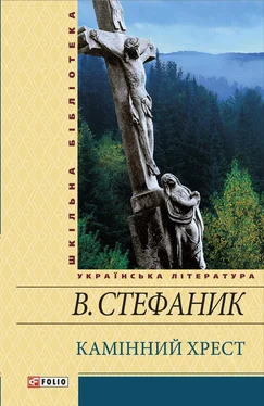 Василь Стефаник Камінний хрест (збірник) обложка книги