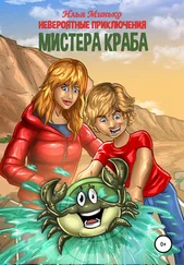 Илья Минько - Невероятные приключения мистера Краба