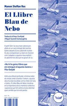 Manon Steffan Ros El llibre blau de Nebo обложка книги