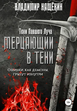 Владимир Нащёкин Мерцающий в тени обложка книги