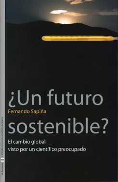 Fernando Sapiña Navarro ¿Un futuro sostenible? обложка книги