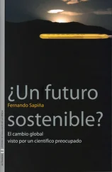 Fernando Sapiña Navarro - ¿Un futuro sostenible?