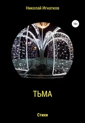 Николай Игнатков - Тьма