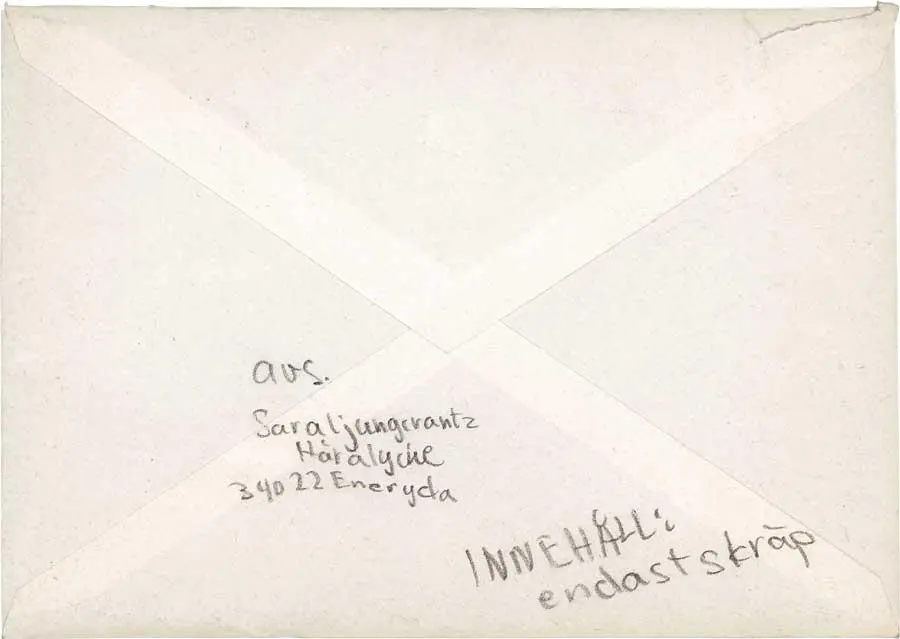 Письма Сары и конверты с надписями вроде Содержание одни помои отражали - фото 4