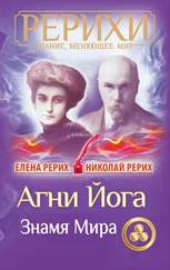 Елена Рерих - Агни Йога. Знамя Мира (сборник)