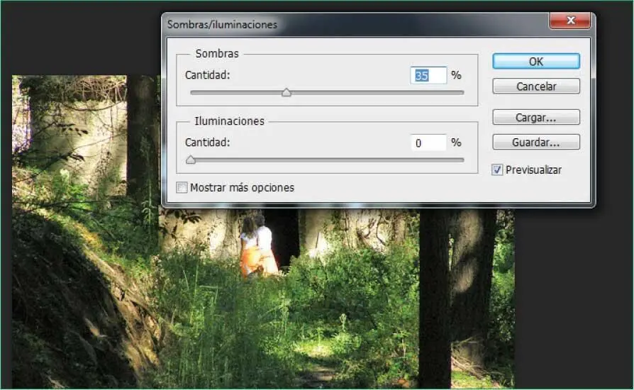 Por defecto y automáticamente las áreas de sombras se aclaran un 35 14El - фото 163