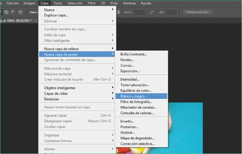 2Se abre el cuadro de diálogo Nueva capaen el cual podemos asignar un nuevo - фото 431