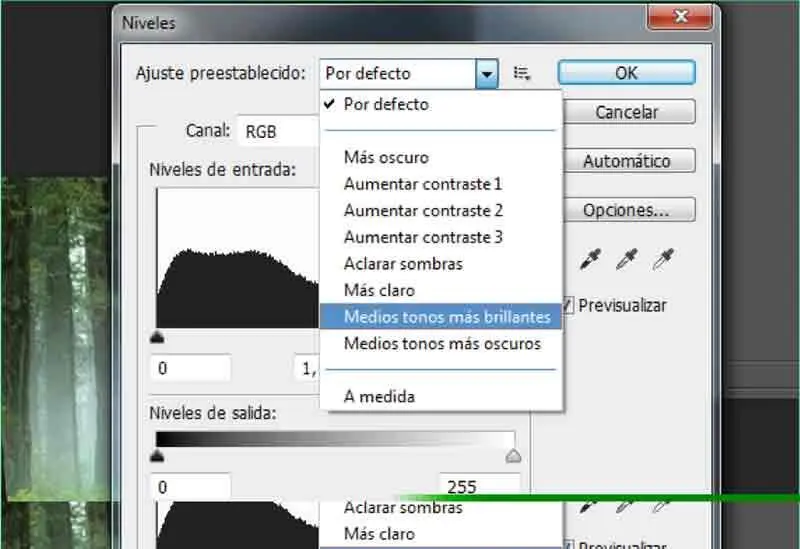 15Si tiene activada la opción Previsualizaren el cuadro Nivelespuede comprobar - фото 353