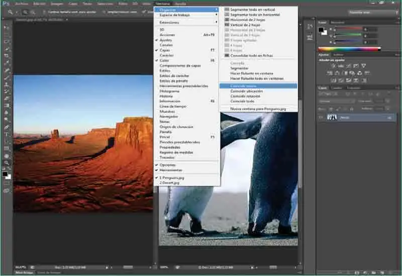 Puede saber cuál es el documento activo porque su pestaña se muestra de color - фото 314