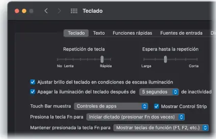 4Todavía en las preferencias de Teclado clic en el panel Funciones rápidas - фото 73