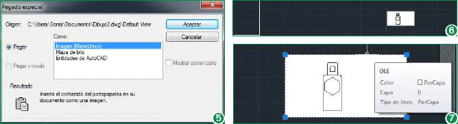 El formato metarchivo de Windows imagen contiene información de vector de - фото 109