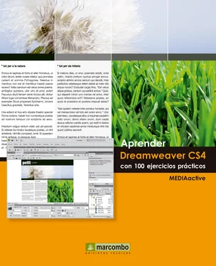 MEDIAactive Aprender Dreamweaver CS4 con 100 ejercicios prácticos обложка книги