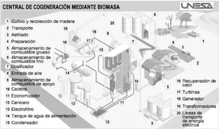 Figura 13 Central de biomasaFuente Unesa 122 Energía eólica Es la - фото 5