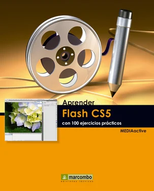 MEDIAactive Aprender Flash CS5 con 100 ejercicios prácticos обложка книги