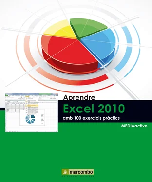 MEDIAactive Aprendre Excel 2010 amb 100 exercicis pràctics обложка книги