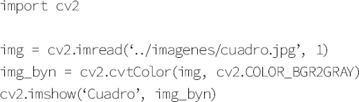 Aunque la imagen se carga en color img posteriormente se pasa a blanco y - фото 32