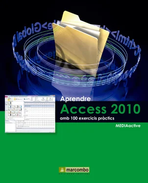 MEDIAactive Aprendre Access 2010 amb 100 exercicis pràctics обложка книги