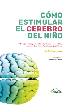 Rafa Guerrero Cómo estimular el cerebro del niño обложка книги