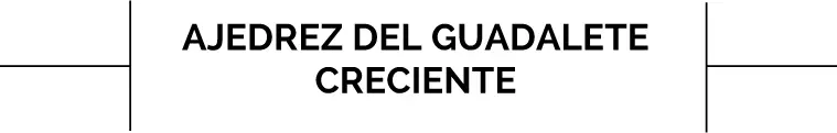 ORIGEN Es otra variante del Ajedrez del Guadalete ideada también por el - фото 13