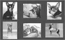 ViewFlipper permite visualizar una lista de elementos de forma que se - фото 186