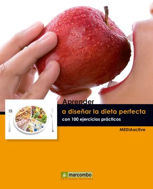 MEDIAactive Aprender a diseñar la dieta perfecta con 100 ejercicios prácticos обложка книги