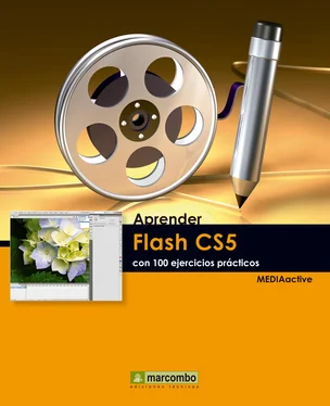 MEDIAactive Aprendre Flash CS5 amb 100 exercicis pràctics обложка книги