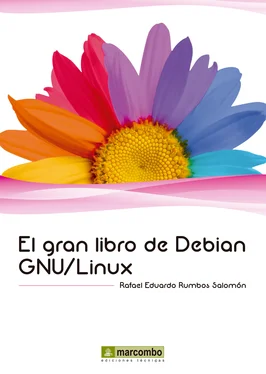 Rafael Eduardo Rumbos Salomón El gran libro de Debian GNU/Linux обложка книги