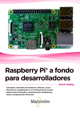 Derek Molloy Raspberry Pi® a fondo para desarrolladores обложка книги