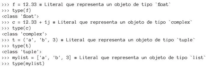 La definición de literal nos ha permitido proporcionar otras informaciones - фото 134