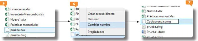 8Confirme que desea cambiar la extensión del archivo pulsando el botón Sí el - фото 200