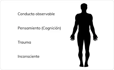 Figura 2Visión centrada en variables intrapsicológicas Tanto desde los - фото 15