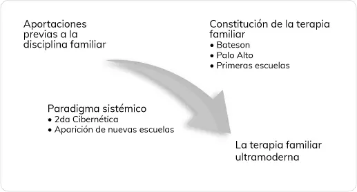 Figura 1Esquema cronológico del desarrollo de la terapia familiar 21 - фото 14