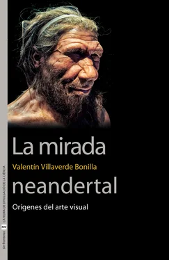 Valentín Villaverde Bonilla La mirada neandertal обложка книги