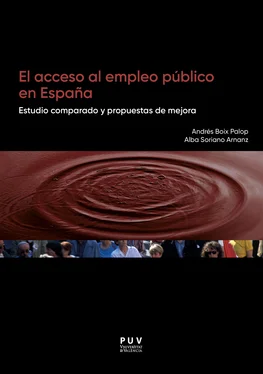 Alba Soriano Arnanz El acceso al empleo público en España обложка книги