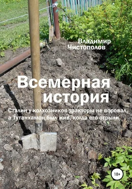Владимир Чистополов Всемерная история обложка книги