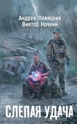 Андрей Левицкий - Слепая удача