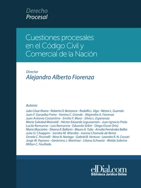 Silvana Ballarin Cuestiones procesales en el Código Civil y Comercial de la Nación обложка книги