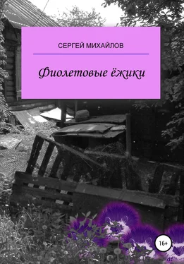 Сергей Михайлов Фиолетовые ёжики обложка книги