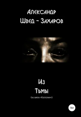 Александр Швед-Захаров Из тьмы обложка книги