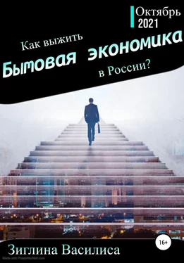 Василиса Зиглина Как выжить в России? Бытовая экономика обложка книги