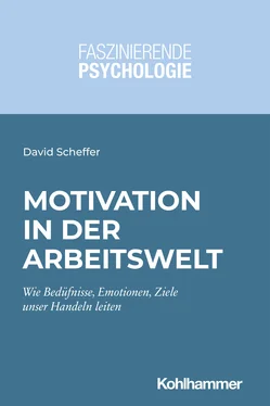 David Scheffer Motivation in der Arbeitswelt обложка книги