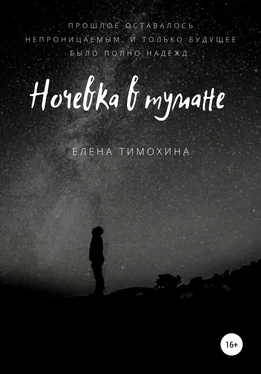 Елена Тимохина Ночевка в тумане обложка книги