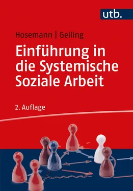 Wilfried Hosemann Einführung in die Systemische Soziale Arbeit обложка книги