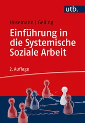 Wilfried Hosemann - Einführung in die Systemische Soziale Arbeit