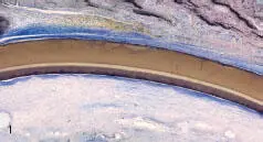 Figs 11 and 12 Paralleloriented fibers around the membranes - фото 6