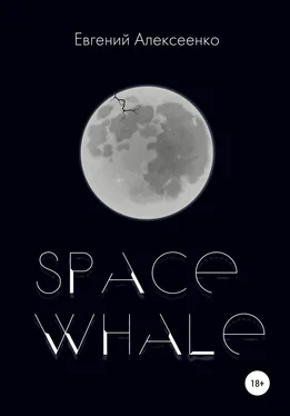 Евгений Алексеенко Space Whale обложка книги