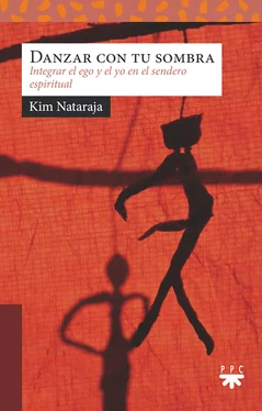 Kim Nataraja Danzar con tu sombra обложка книги