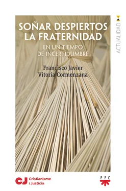Francisco Javier Vitoria Cormenzana Soñar despiertos la fraternidad обложка книги