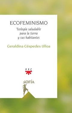 Geraldina Ce´spedes Ulloa Ecofeminismo обложка книги